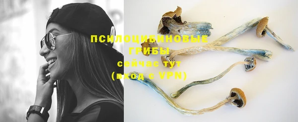 прущая мука Майский