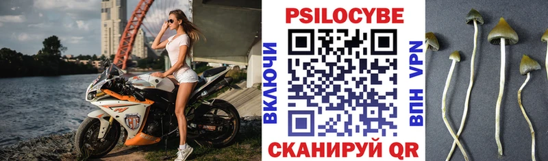 Галлюциногенные грибы прущие грибы  Купить где  Югорск 